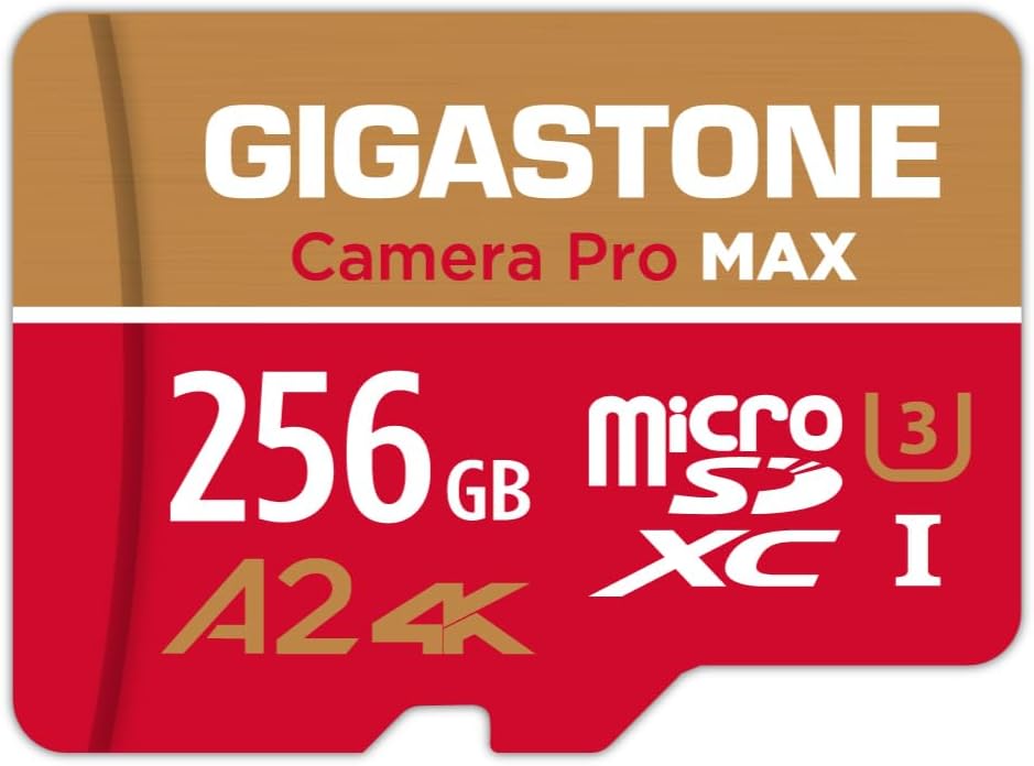 SanDisk High Endurance 256GB microSD Card